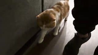 Dad! I want things