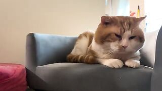 Censored content