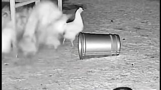 CCTV Caught This Hero