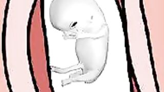 Vitenskapelige mirakler i Koranen og Sunnah 29