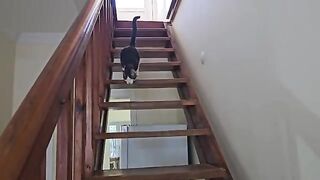 The incredible love of a blind kitten who never wants to leave the arms of his savior.
