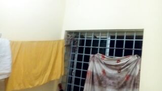 Scaly breasted munia birds