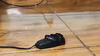 I cannot stop laughing