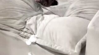Cute and Funny Baby