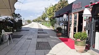 A Winter Sanctuary for Stray Cats in the Heart of Istanbul