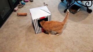 Present, and accounted for