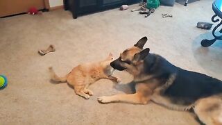Nibble and quibble