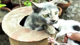 Her Eyes Stayed on Her Baby, Waiting for a Moment of Peace