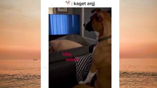 kaget nya bukan main