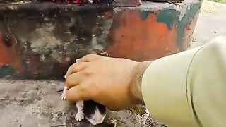 The cat mom protected her kitten this time! So relieved its almost crying