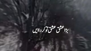 Coliurs of winter inKashmir