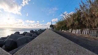 When I stood on the breakwater, cats gathered one after another! They were so cute I couldnt move.