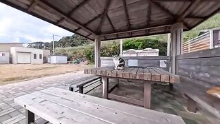 The gazebo near the ferry terminal on Cat Island is a cat hangout spot.