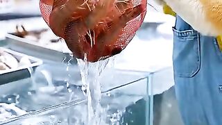 A Baby Puppy Cooks Grilled Shrimp Just to Make Her Smile