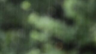 rain sounds