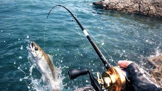 Patience Found in Quiet Waters