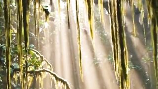 Beautiful nature