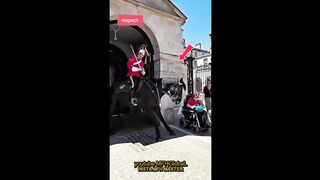 what happened in there  England horse