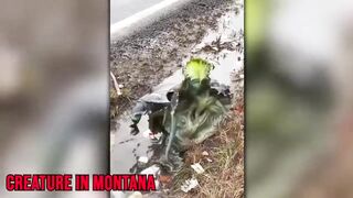 mystery things found in cameras  top secret file  monster