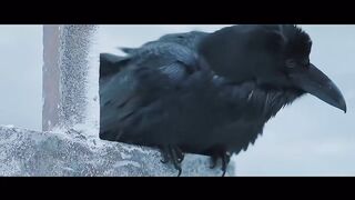 Trailer from AI Studio