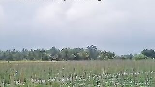 Chili farmer