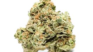 Best Price Amnesia Haze Strain Online