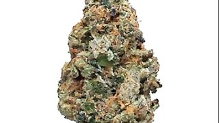 Royal Queen Cookies Gelato for Sale Online