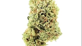 Trusted Supplier of Top-Grade AAA Hulkberry Cannabis Strain