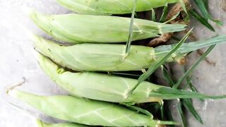 sweet corn with natural color and texture