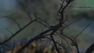 Doktor Civanım  Kemal Sunal Eski Türk Komedi Filmi