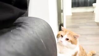 Furniture hater