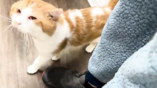 Poopbuddy