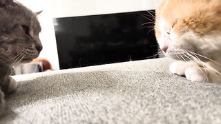 Im NoT tOuChInG yOu