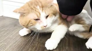 Foot licker