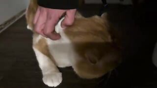 Happy boy and the carpet sneeze