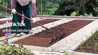 Creative farmer
