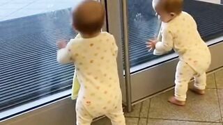 Tiny Hands, Big Fun! Babies Washing Glass