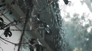 rain sounds