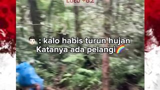 pelangi