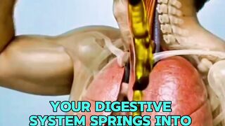 WHAT HAPPENES WHILE YOU DRINKING OLIVE OIL IN HUMAN BODY