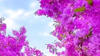 Beautiful nature