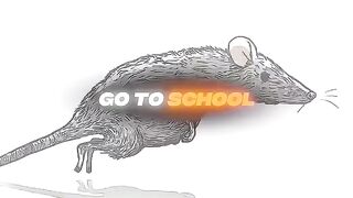 Best for Vlogs, Funny clips, or Lifestyle videos. Your daily dose of entertainment.