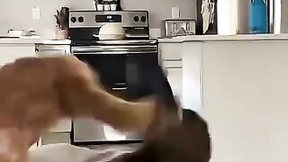 cat.meme.shorts