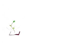 Fire Force E17