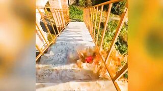 Quebrando Garrafas Que Estranho Quebrando asmr