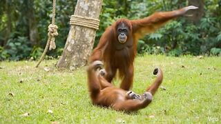 Watch till the end for the funniest moment