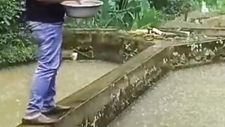 JIKA nunggu lele SAKIT lalu beli OBAT itu TERLAMBAT