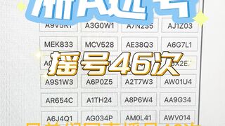 Hangzhou License Plate Selection Live Footage