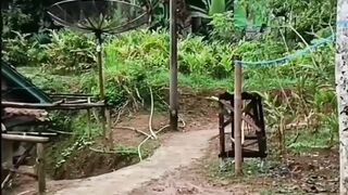 kampung ku halaman ku