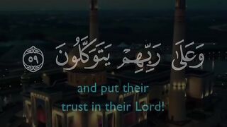 Tilawat e Quran Majeed